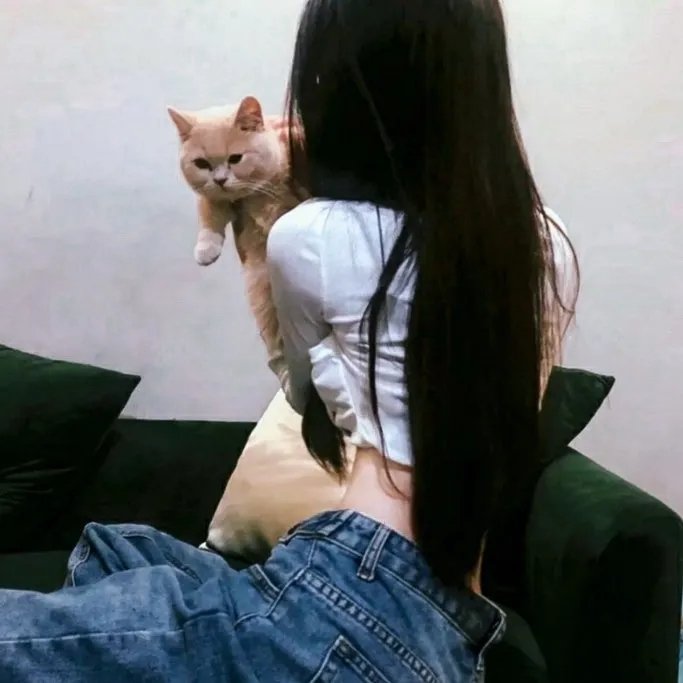 高校的血 在线观看