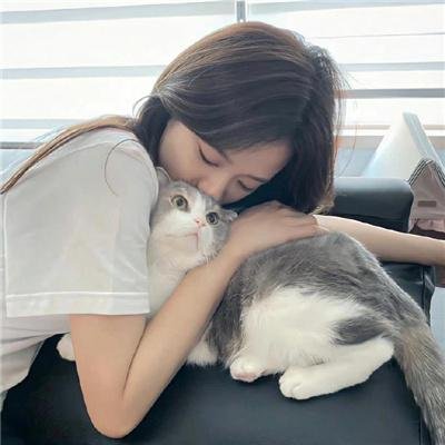 精灵高中 在线观看
